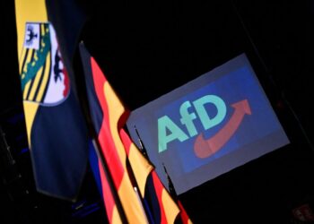 Sajonia-Anhalt: radiografía del voto, ¿de dónde viene el voto a AfD?