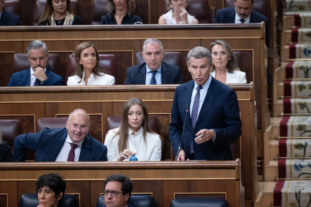 El presidente del Partido Popular, Alberto Núñez Feijóo, interviene durante una sesión de control al Gobierno, en el Con