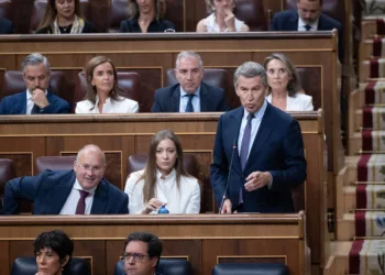 El presidente del Partido Popular, Alberto Núñez Feijóo, interviene durante una sesión de control al Gobierno, en el Con