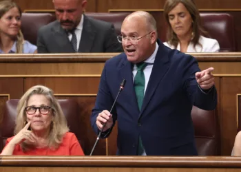 El secretario general del PP, Miguel Tellado, interviene durante una sesión plenaria en el Congreso de los Diputados, a
